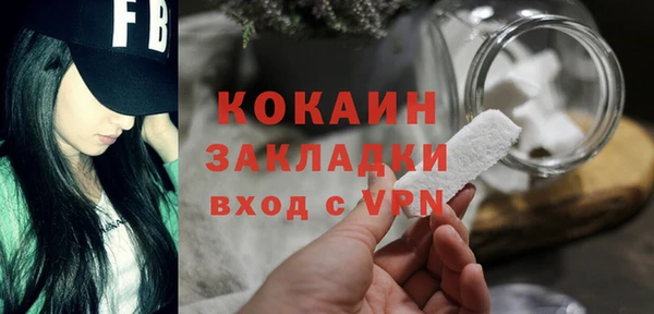крисы Баксан