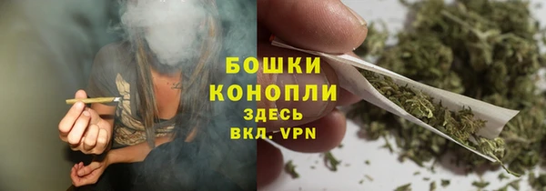 крисы Баксан