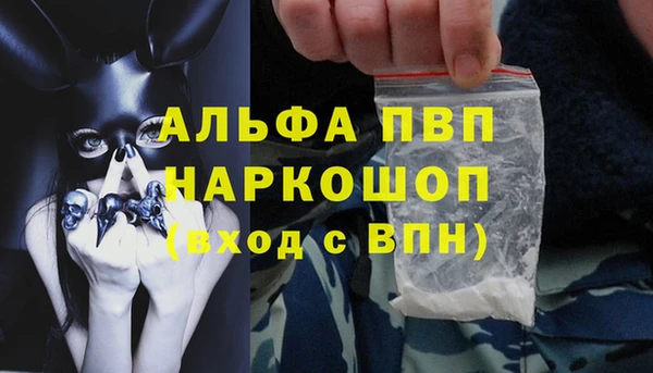 крисы Баксан
