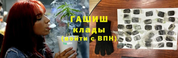 крисы Баксан