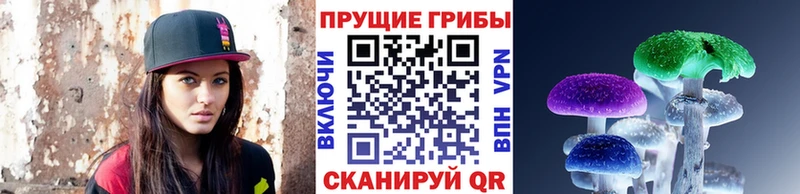 Псилоцибиновые грибы мицелий Долгопрудный