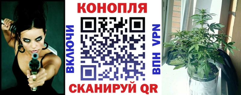 MEGA рабочий сайт  Долгопрудный  Бошки Шишки план 